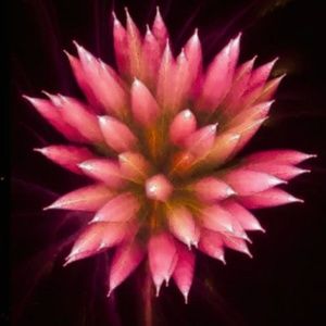 Meet your Posher, Maribel